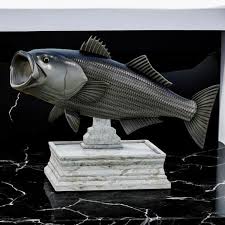 Image result for Morone saxatilis