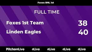 Image result for Foxes Netball Club
