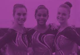 Image result for Breckland Forest Gymnastics Club 2004