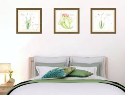 Attēlu rezultāti vaicājumam “Pogonatum urnigerum”