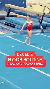 Image result for stonehaven gymnastics club