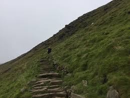 Image result for South Hunsley Badminton Club