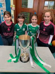 Image result for Aodh Ruadh Clg