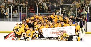 Image result for Chelmsford Chieftains