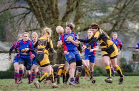 Image result for Totnes Rugby Club