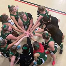 Image result for Wealden Netball Club
