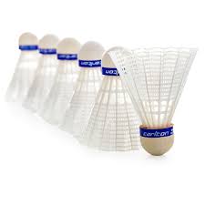 Image result for Carlton Badminton Club