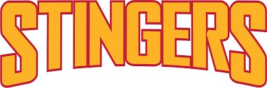 Image result for Stingers Korfball Club