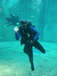 Image result for Dive Crew Scuba Diving