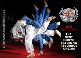 Image result for Judo Excellence