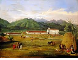 Image result for gabucino