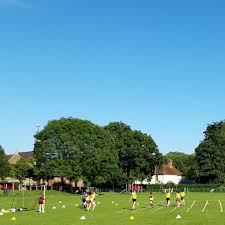 Image result for Milford Pumas Football Club