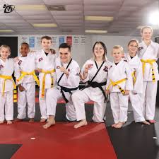 Image result for Vision Martial Arts