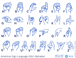 Image result for    f B E K K