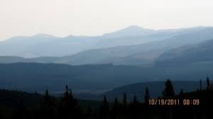 Image result for 2011早春