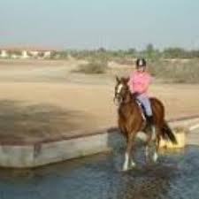 Image result for Weybridge Equestrian Centre