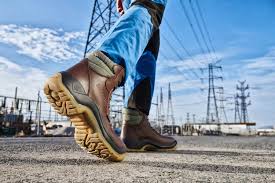 Afbeeldingsresultaat voor panters