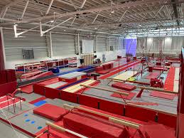 Image result for City Of Newcastle Gymnastics Academy