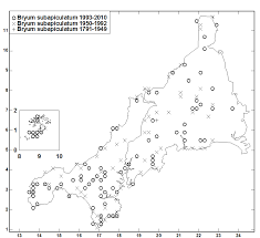 Attēlu rezultāti vaicājumam “Dicranella staphylina cells”