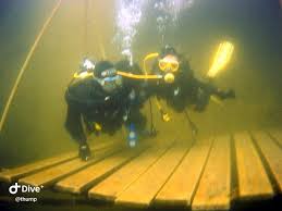 Image result for Bedford Scuba Divers