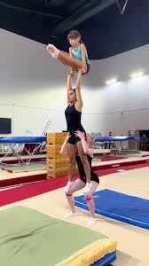 Image result for Elements Acro