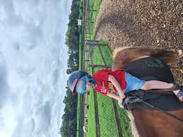 Image result for Heemtuin Rucphen