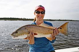 Image result for Sciaenops ocellatus