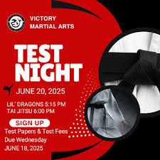 Image result for Tae-jitsu