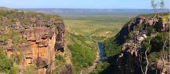 Billedresultat for kakadu n...