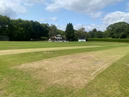 Image result for Pontypridd Cricket Club