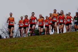 Image result for Westerlands Cross Country Club