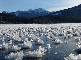 Attēlu rezultāti vaicājumam “Frost Flowers”