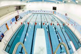 Image result for York University Pool Club