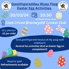 Image result for Bronwydd Cricket Club