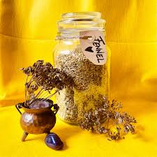 Attēlu rezultāti vaicājumam “Leontodon hispidus fruit”