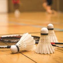 Image result for Wareham and Purbeck Badminton Club