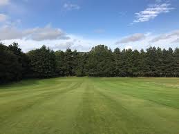 Image result for Caird Park Golf Club