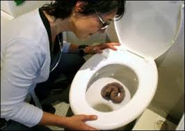 Image result for german toilet