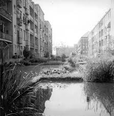 Image result for Mien Ruys