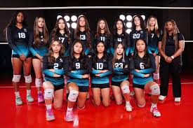 Image result for Devizes Volleyball Club