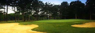 Image result for Falmouth Scrabble Club