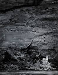 Image result for Ansel Adams Aspens New Mexico