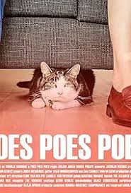 Image result for poes