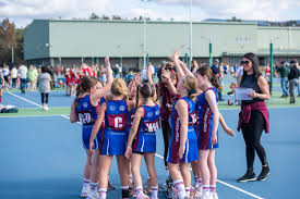 Image result for Wombles Netball Club