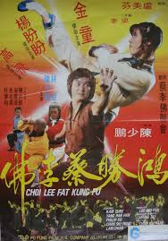 Image result for Tao So Choy Kung Fu Club, Hull