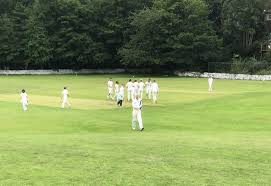 Image result for Hazelgrove Cricket Club