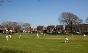 Image result for Wandham Cricket Club