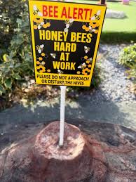 Image result for Suffolk Adventure Golf