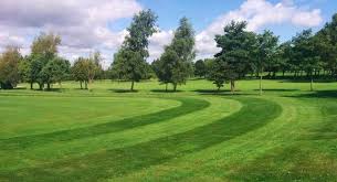 Image result for Werneth Cricket Club