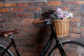 Image result for bicycle basket